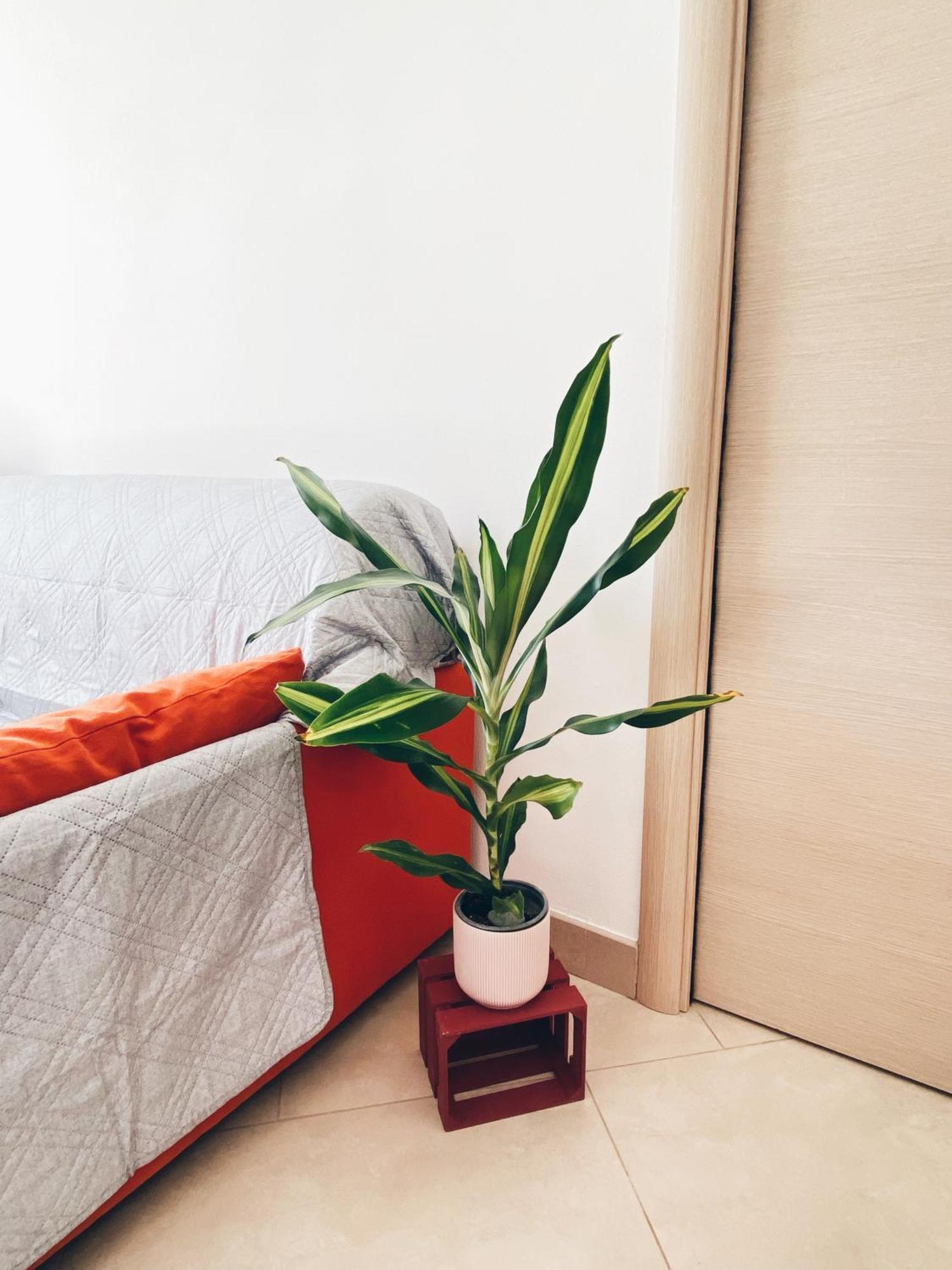Apartment In Siena With Private Parking Екстериор снимка